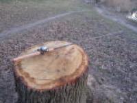 IMG_0768.jpg IMG_0768.jpg