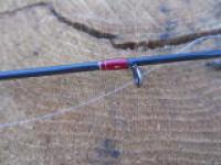 IMG_0771.jpg IMG_0771.jpg