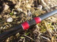 IMG_0756.jpg IMG_0756.jpg