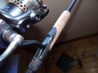 DSC05315.jpg