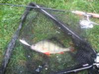 070812_ 804.jpg