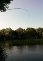 20130719_080947 (560x800).jpg 20130719_080947 (560x800).jpg