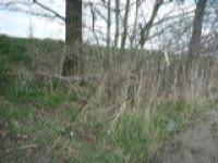 P1040662 (Custom).jpg