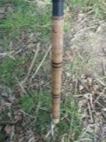 P1040664 (Custom).jpg