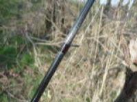 P1040667 (Custom).jpg