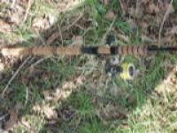 P1040658 (Custom).jpg