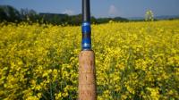 Carp 2014 004 .jpg