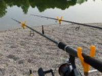 P1000347 (1024x768).jpg