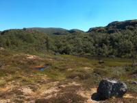 14 Bachlauf zwischen Indre und Fremre Pissbekkvatnet 2.jpg