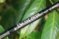  1937459_667315200016972_2437227976988812
622_n.jpg