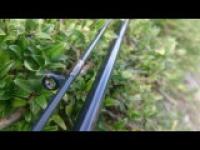 DSC_0031.jpg DSC_0031.jpg