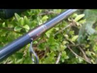 DSC_0032.jpg DSC_0032.jpg