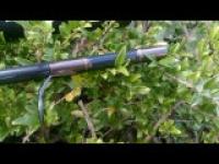 DSC_0033.jpg DSC_0033.jpg