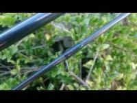 DSC_0044.jpg DSC_0044.jpg