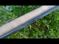 DSC_0047.jpg DSC_0047.jpg