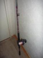 P1050455 (Custom).jpg