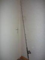 P1050454 (Custom).jpg