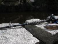 Expert Graphite 15-40lbs_ IMG_0004.jpg