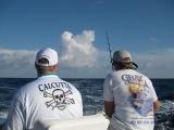 IMG_1125.jpg