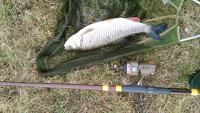 IMG_20170223_160252.jpg