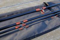 _D3C6595.jpg _D3C6595.jpg