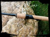  17952741_1660968754212362_51798946531403
5811_n.jpg