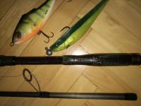 Griff und Tiger_klein.jpg