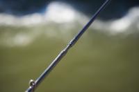 DSC08315.jpg