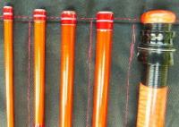 P1010288 (1024x727).jpg