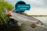 IMG_20201117_144946.jpg
