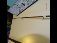 DSC01256.jpg