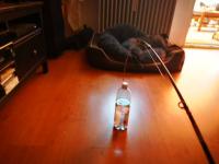 IMG_20210602_143815.jpg