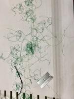 IMG_7418.jpeg
