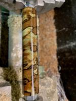 IMG_8653.jpeg