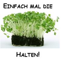 Kresse halten2.png