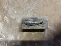 IMG_9245.jpeg