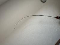 IMG_9502.jpeg