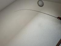 IMG_9501.jpeg