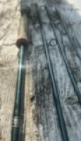 IMG_5057.jpeg