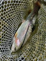 IMG_4723.jpeg
