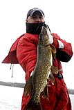 Pike3.jpg