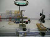 100_290677777.jpg