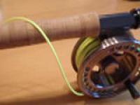 Bartsch Blank #10 (7).jpg