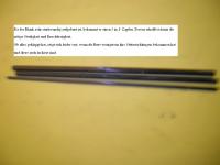 Zapfenverb.6.jpg