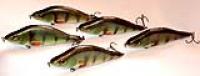 perch_batch.jpg
