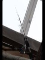 IMG_0766_2.jpg
