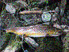 images/avatars/avatar-642.gif